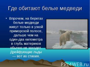 Впрочем, на берегах белые медведи живут только в узкой приморской полосе, дальше