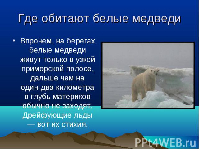 Впрочем, на берегах белые медведи живут только в узкой приморской полосе, дальше чем на один-два километра в глубь материков обычно не заходят. Дрейфующие льды — вот их стихия. Впрочем, на берегах белые медведи живут только в узкой приморской полосе…