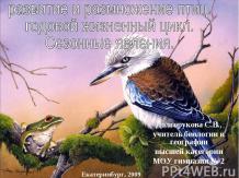 Рамзножение и развитие птиц. Годовой жизненный цикл