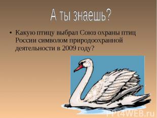 Какую птицу выбрал Союз охраны птиц России символом природоохранной деятельности