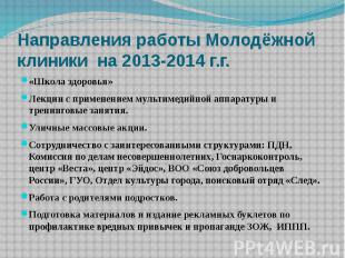 Направления работы Молодёжной клиники на 2013-2014 г.г. «Школа здоровья» Лекции