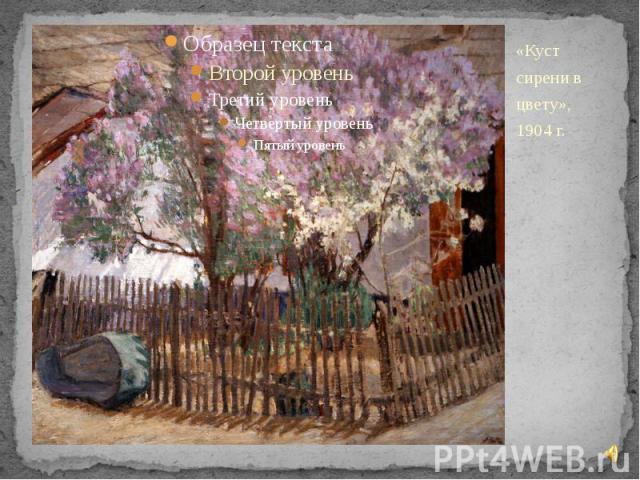 «Куст сирени в цвету», 1904 г. «Куст сирени в цвету», 1904 г.