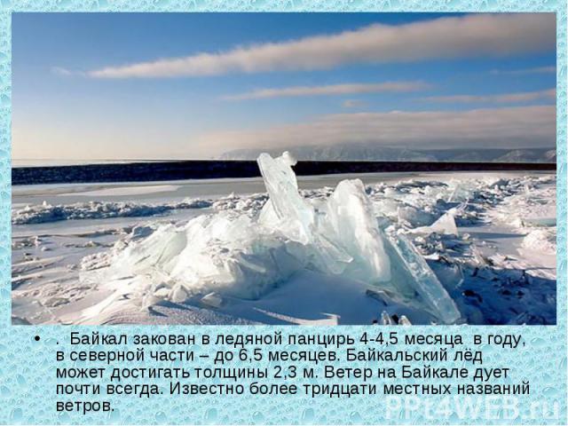 . Байкал закован в ледяной панцирь 4-4,5 месяца в году, в северной части – до 6,5 месяцев. Байкальский лёд может достигать толщины 2,3 м. Ветер на Байкале дует почти всегда. Известно более тридцати местных названий ветров. . Байкал закован в ледяной…