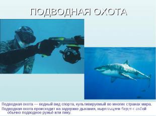 Подводная охота — водный вид спорта, культивируемый во многих странах мира. Подв