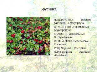 ПОДЦАРСТВО: Высшие растения - Embryophyta ПОДЦАРСТВО: Высшие растения - Embryoph