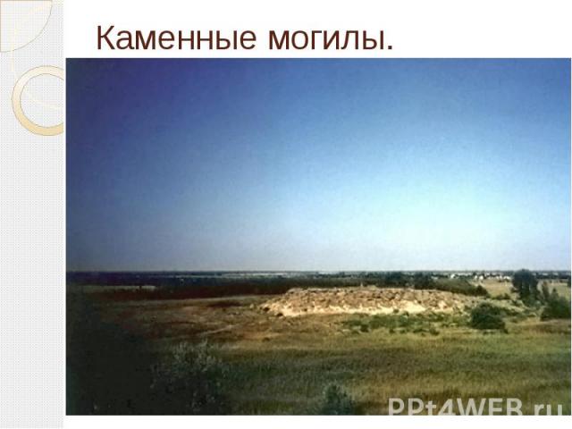 Каменные могилы. небольшой изолированный массив песчаника, размерами примерно 240 на 160 метров, состоящий из крупных каменных глыб высотой до 12 метров. находится в долине реки Молочной в Запорожской области Украины. 