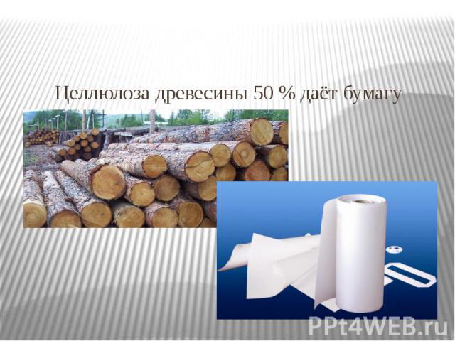 Целлюлоза древесины 50 % даёт бумагу Целлюлоза древесины 50 % даёт бумагу