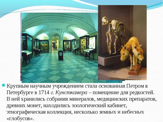 Крупным научным учреждением стала основанная Петром в Петербурге в 1714 г. Кунсткамера – помещение для редкостей. В ней хранились собрания минералов, медицинских препаратов, древних монет, находились зоологический кабинет, этнографическая коллекция,…