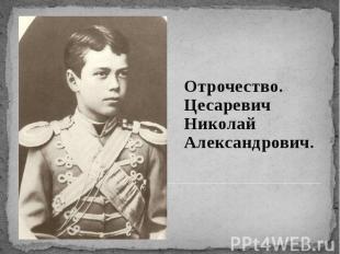 Отрочество. Цесаревич Николай Александрович.