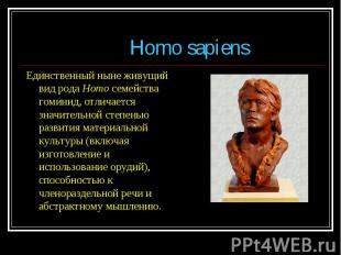 Единственный ныне живущий вид рода Homo семейства гоминид, отличается значительн