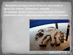 Мамонты вымерли около 10&nbsp;тысяч лет назад во время последнего Ледникового пе
