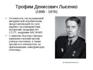Трофим Денисович Лысенко (1898 - 1976) Основатель так называемой мичуринской агр