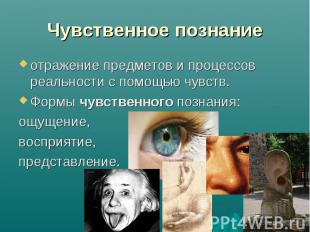 Чувственное познание отражение предметов и процессов реальности с помощью чувств