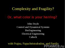 Complexity and Fragility?