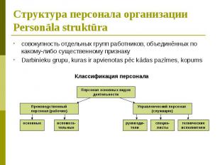Структура персонала организации Personāla struktūra совокупность отдельных групп