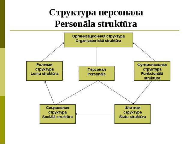 Структура персонала Personāla struktūra