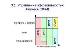 3.1. Управление эффективностью бизнеса (BPM)