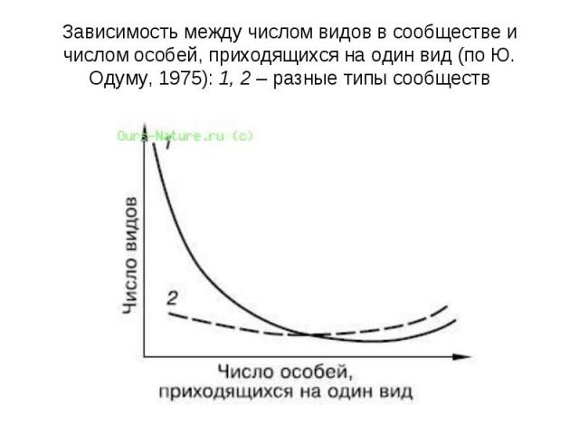 Зависимость между числом видов в сообществе и числом особей, приходящихся на один вид (по Ю. Одуму, 1975): 1, 2 – разные типы сообществ