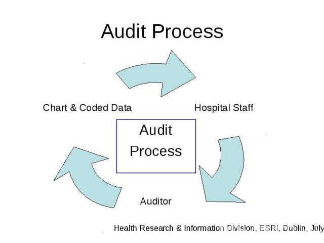 Audit Process Audit Process