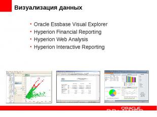 Oracle Essbase Visual Explorer Oracle Essbase Visual Explorer Hyperion Financial