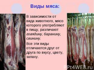 В зависимости от вида животного, мясо которого употребляют в пищу, различают гов