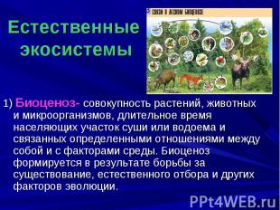 1) Биоценоз- совокупность растений, животных и микроорганизмов, длительное время
