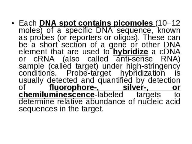 Each DNA spot contains picomoles (10−12 moles) of a specific DNA sequence, known as probes (or reporters or oligos). These can be a short section of a gene or other DNA element that are used to hybridize a cDNA or cRNA (also called anti-sense RNA) s…