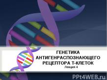 Генетика антигенраспознающего рецептора Т-клеток