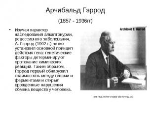 Арчибальд Гэррод (1857 - 1936гг) Изучая характер наследования алкаптонурии, реце