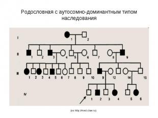 Родословная с аутосомно-доминантным типом наследования