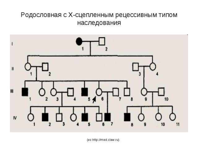 Родословная с Х-сцепленным рецессивным типом наследования