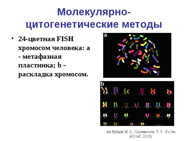 Молекулярно-цитогенетические методы 24-цветная FISH хромосом человека: a - метафазная пластинка; b - pаскладка хромосом.