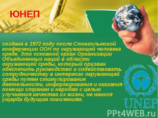 ЮНЕП создана в 1972 году после Стокгольмской конференции ООН по окружающей челов