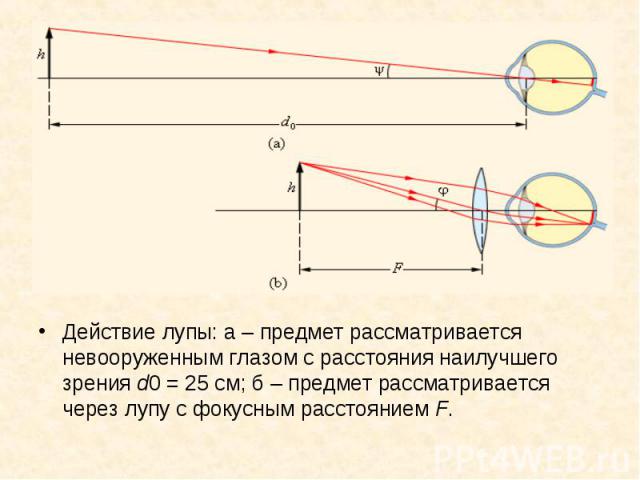 Действие лупы: а – предмет рассматривается невооруженным глазом с расстояния наилучшего зрения d0 = 25 см; б – предмет рассматривается через лупу с фокусным расстоянием F. Действие лупы: а – предмет рассм…