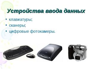Устройства ввода данных клавиатуры; сканеры; цифровые фотокамеры.