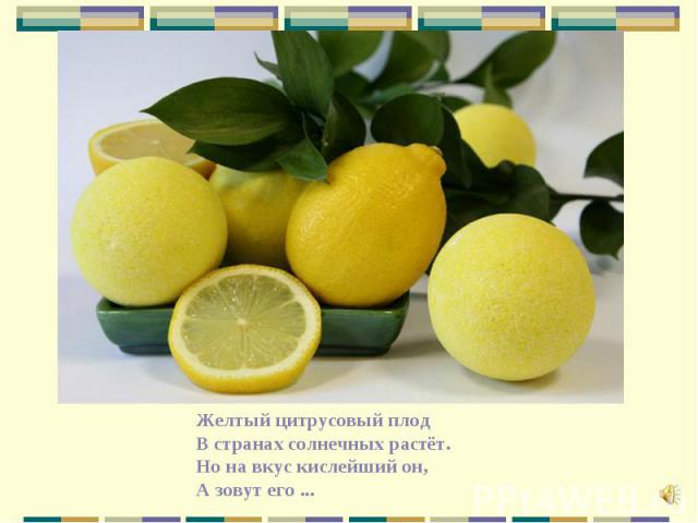 Желтый цитрусовый плод В странах солнечных растёт. Но на вкус кислейший он, А зовут его ...