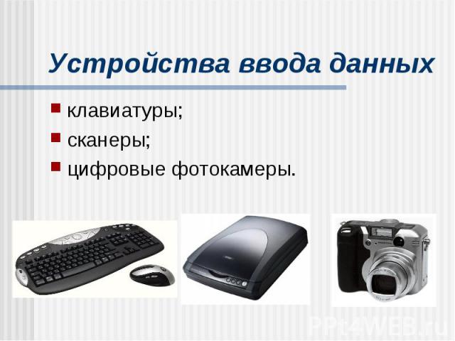 Устройства ввода данных клавиатуры; сканеры; цифровые фотокамеры.