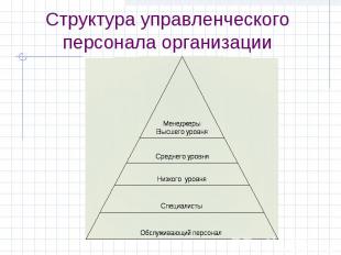 Структура управленческого персонала организации