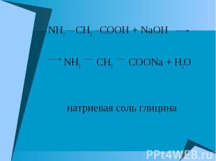 NH2 CH2 COOH + NaOH NH2 CH2 COOH + NaOH NH2 CH2 COONa + H2O натриевая соль глици