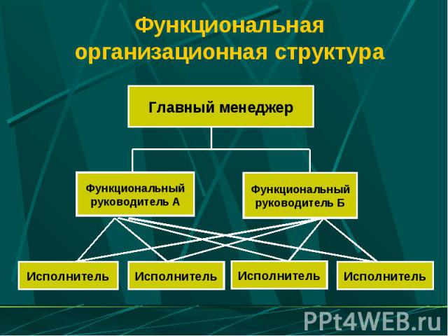 Функциональная организационная структура