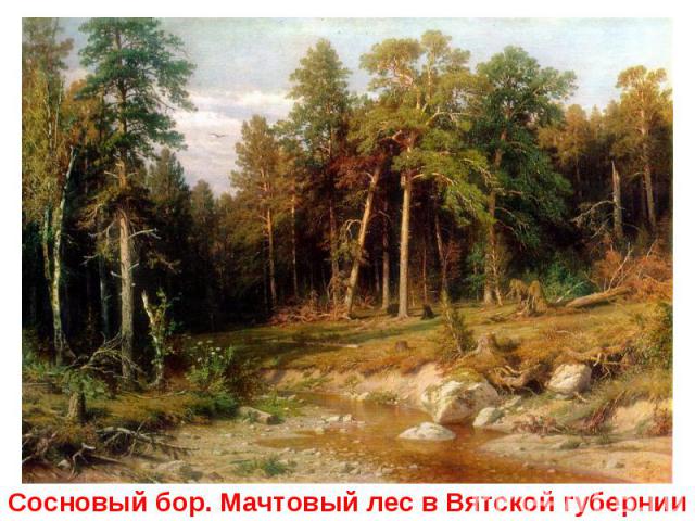 Сосновый бор. Мачтовый лес в Вятской губернии