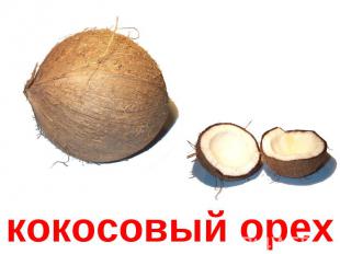 кокосовый орех