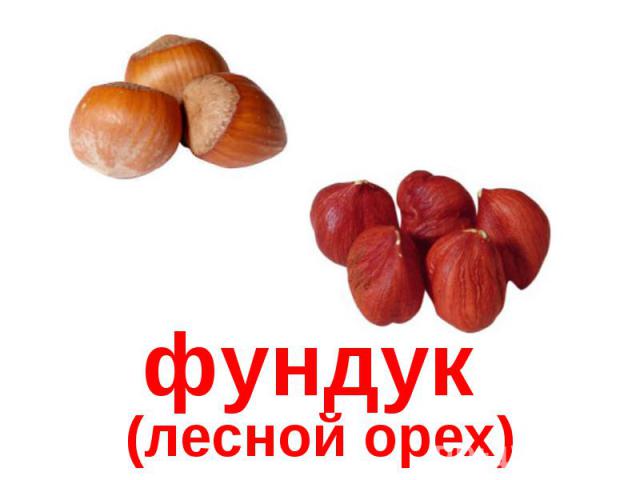 фундук (лесной орех)