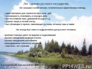 Лес - основа русского государства Лес оказывал хозяйственную, политическую и нра