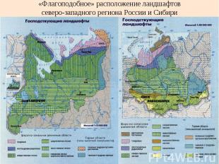 «Флагоподобное» расположение ландшафтов северо-западного региона России и Сибири