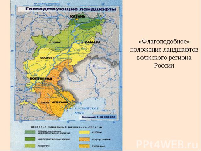 «Флагоподобное» положение ландшафтов волжского региона России