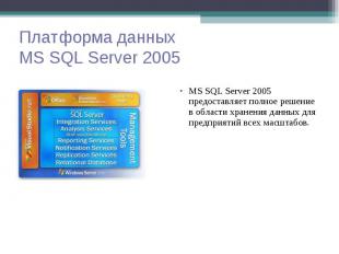 MS SQL Server 2005 предоставляет полное решение в области хранения данных для пр