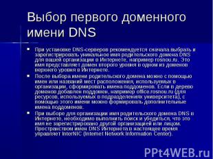 Выбор первого доменного имени DNS При установке DNS-серверов рекомендуется снача