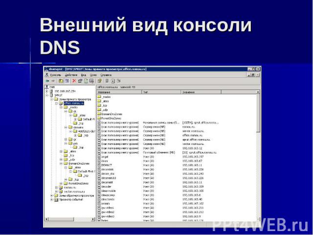 Внешний вид консоли DNS
