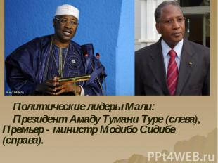 Политические лидеры Мали: Политические лидеры Мали: Президент Амаду Тумани Туре